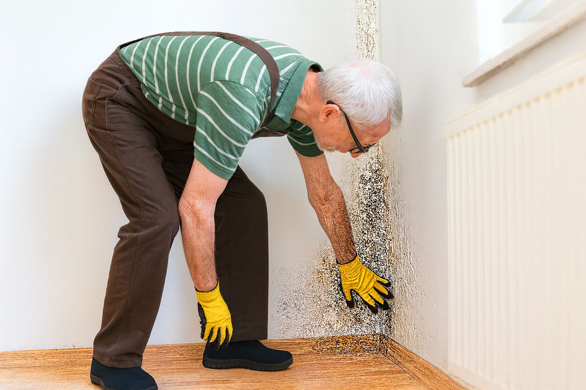 Damp & Waterproofing Issues in Gauteng — Causes & Solutions-1.jpg