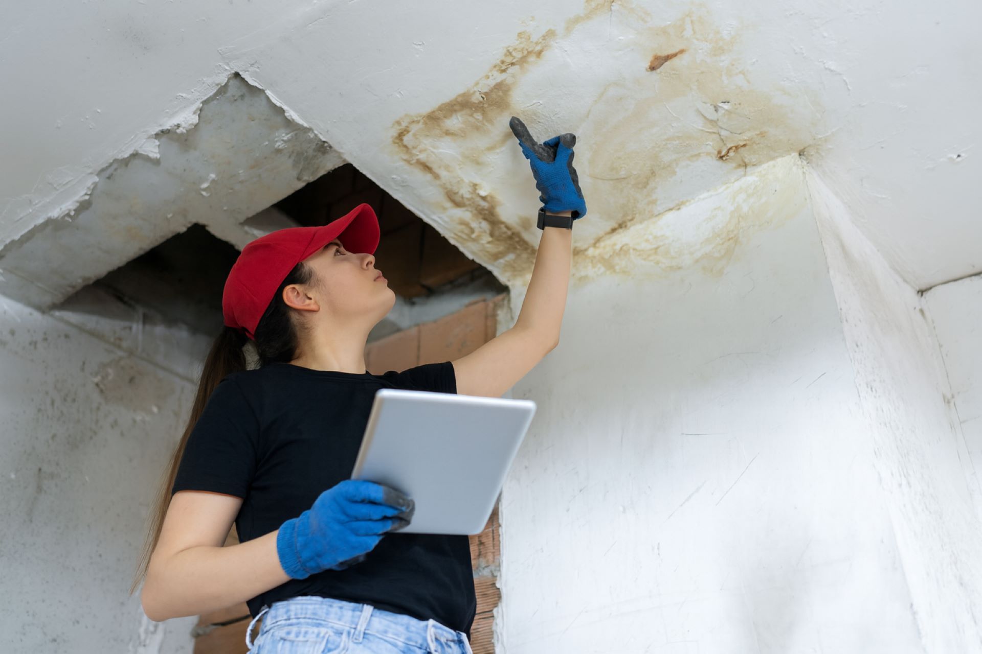 Damp & Waterproofing Issues in Gauteng — Causes & Solutions-2.jpg
